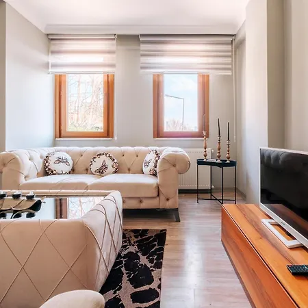 Central Flat Near Golden Horn And Bilgi University *