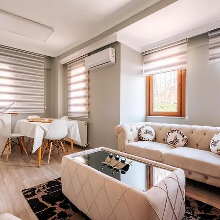 Central Flat Near Golden Horn And Bilgi University Istambul
